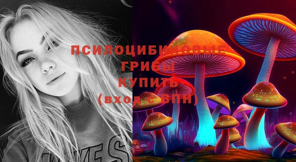 соль ск Мегион