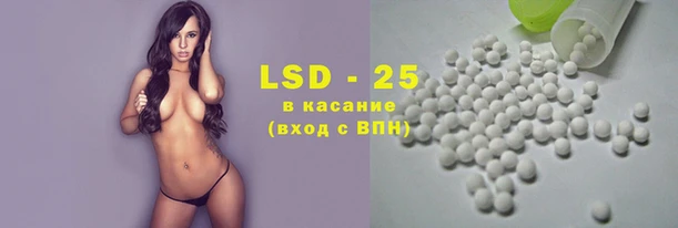 прущие грибы Магас