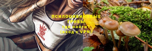 стафф Медвежьегорск